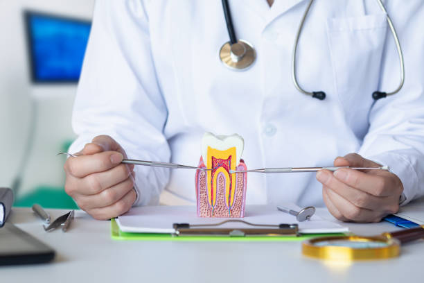 Best Mobile Emergency Dentist in Port Ludlow, WA